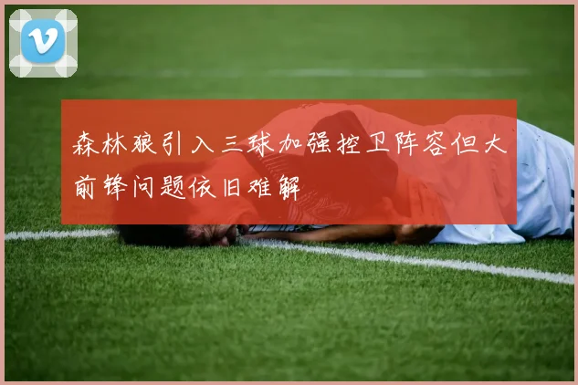 森林狼引入三球加强控卫阵容但大前锋问题依旧难解